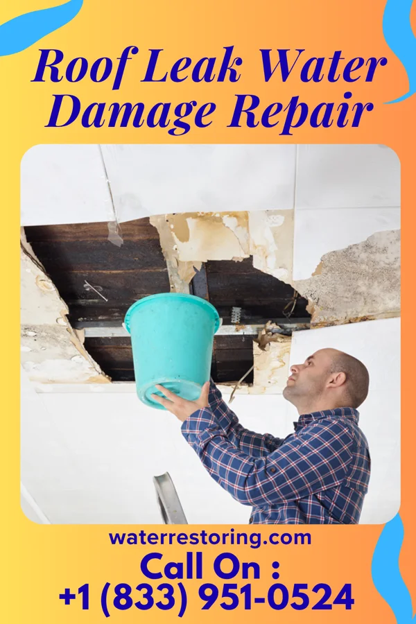 Roof Leak Water Damage Repair in Edinburg, MO