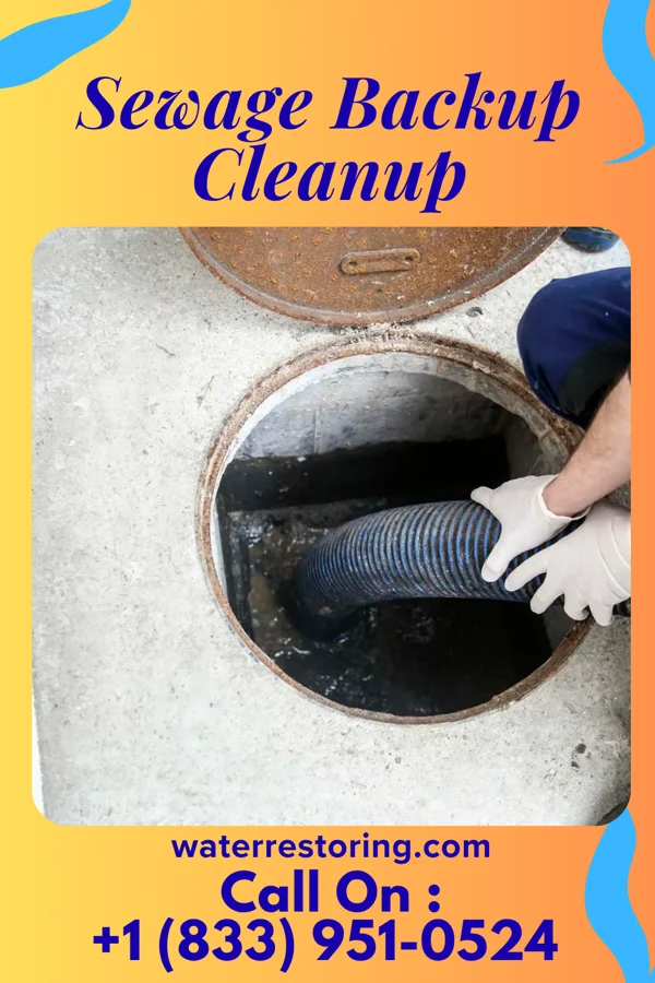Sewage Backup Cleanup in Edinburg, MO